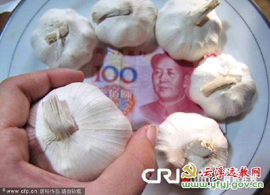 农产品涨价应让农民分享更多收益